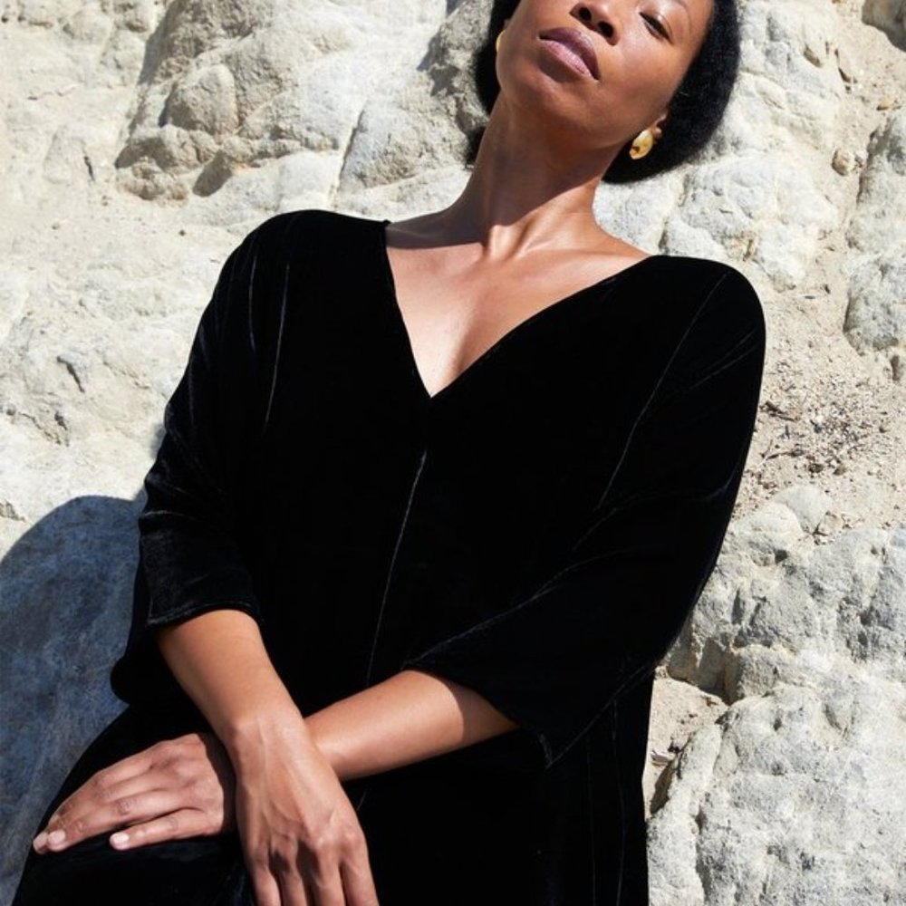 Rachel Craven Agnes Silk Velvet V-Neck Dress